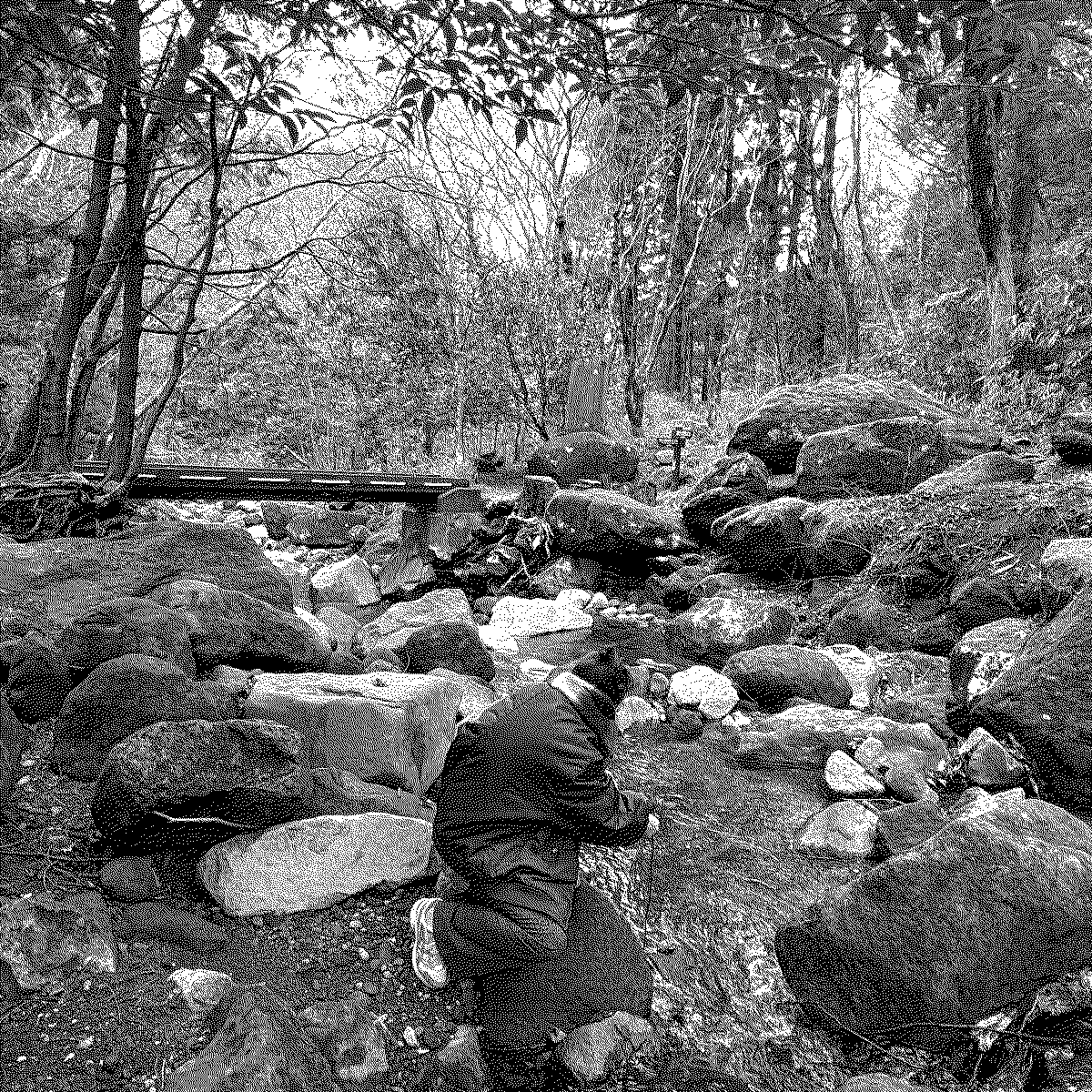 Anežka Minaříková: Stream of Stream